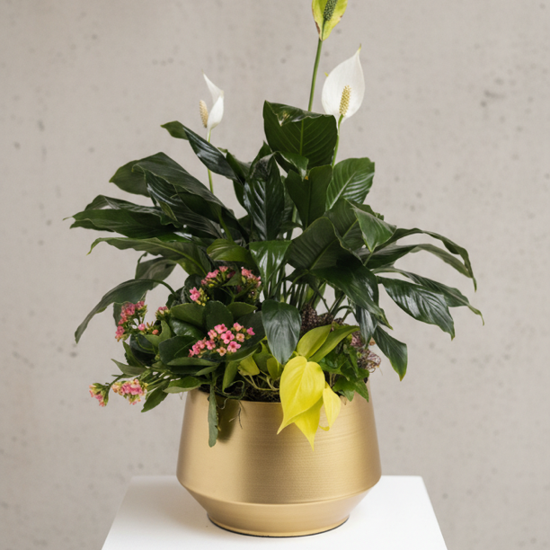 plant magnolia in pot Magnolia Planter – Bloomique Flower Studio