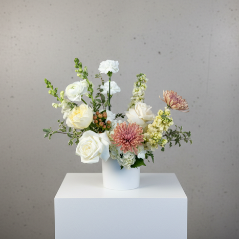 Isla Vase