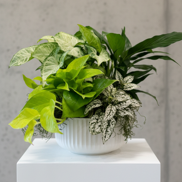 Serene Planter