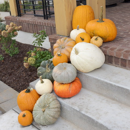 Half Moon Pumpkin Porch Package