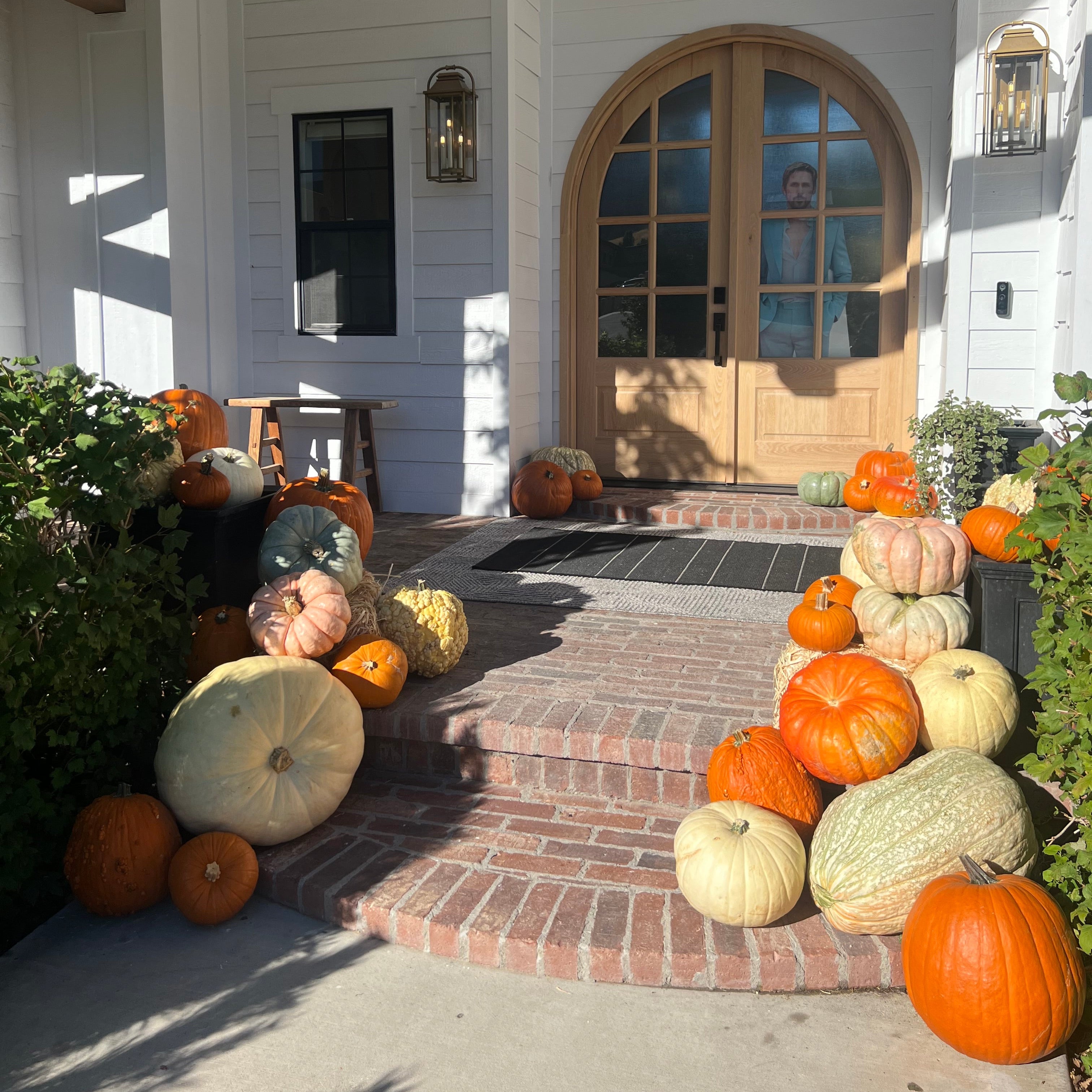 Full Moon Pumpkin Package