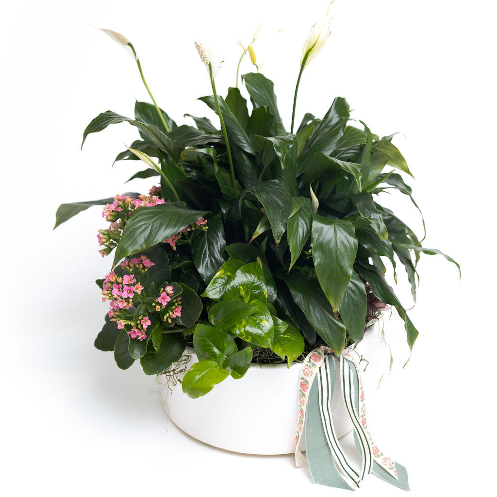Willow Planter