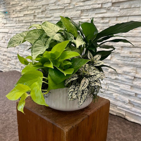 Serene Planter