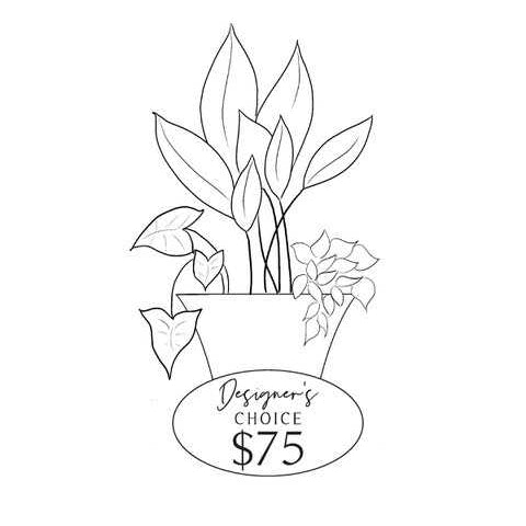 Designers Choice Planter $75