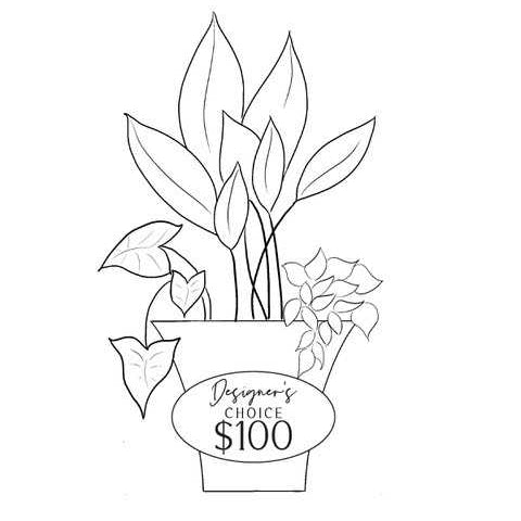 Designers Choice Planter $100