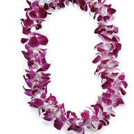 Purple Orchid Lei